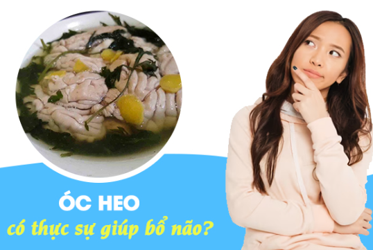 Ăn óc heo có giúp trẻ thông minh?