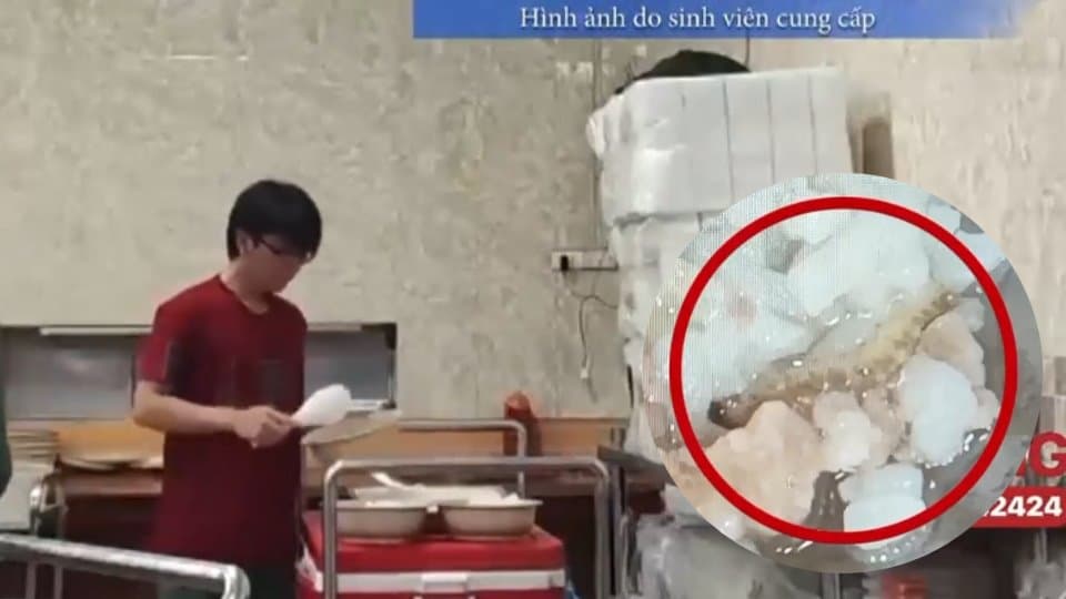 Vụ sinh viên phải ăn cơm canh thừa từ bữa trước, có nhiều dị vật bất thường: Đại học Bách khoa lên tiếng ngay trong đêm