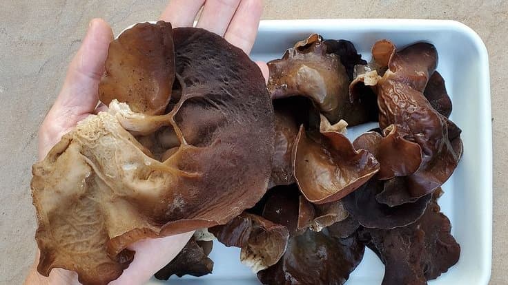 Ăn 1 thứ trong 3 tháng, người đàn ông huyết áp, đường huyết ổn định, thoát thảm cảnh cắt cụt chân