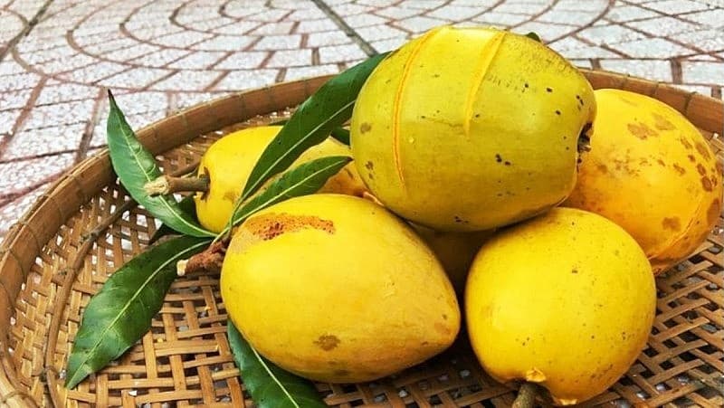 Việt Nam có 1 loại quả ngọt đang dần bị lãng quên nhưng giúp 'bơm máu', làm trắng da tự nhiên rất tốt: Dùng đúng còn phòng chống nhiều bệnh tật