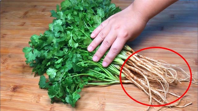 Ăn 4 loại rau này đừng bỏ rễ: Người không biết tưởng rác nhưng người biết dùng là 'vàng mười'