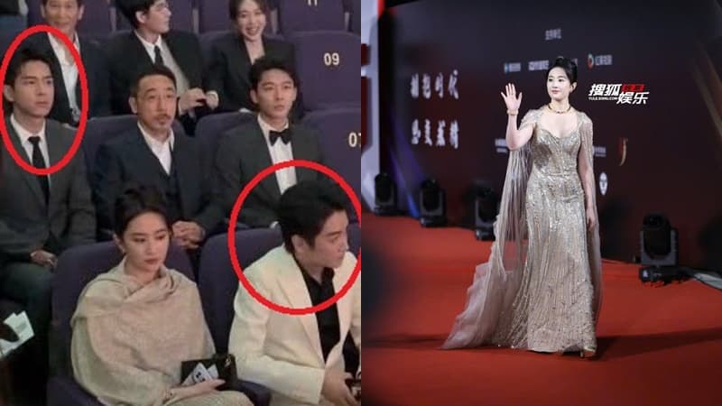 Thảm đỏ hot nhất hôm nay: Lưu Diệc Phi 'thua đau đớn' trước cam thường, suýt vồ ếch và đụng mặt 'tình tin đồn'