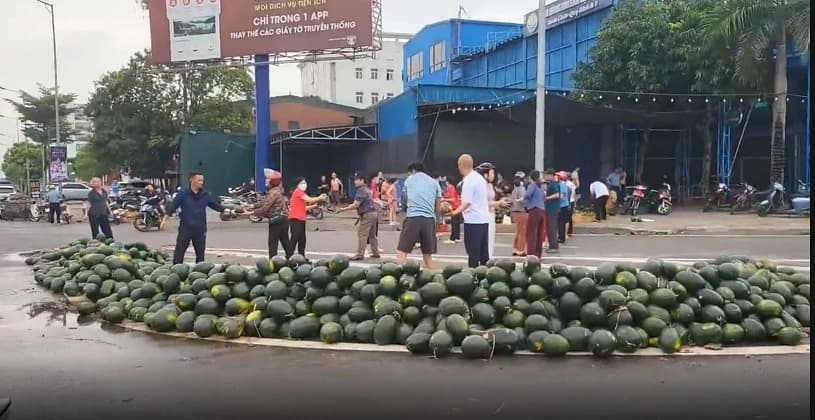 Xe chở dưa hấu gặp nạn, người dân TP Vinh xếp hàng thu gom giúp tài xế
