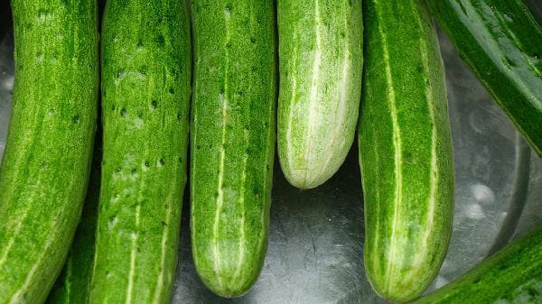 Người đàn ông suýt chết chỉ vì nửa đĩa salad dưa chuột để qua đêm