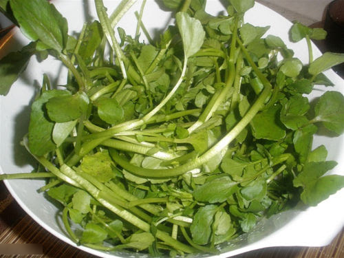 Việt Nam có loại rau chống ung thư tốt nhất thế giới, tốt cho sức khỏe tim mạch và xương khớp