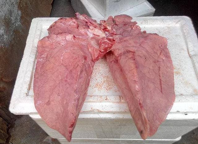 5 bộ phận của con lợn rẻ đến mấy cũng không nên mua về ăn, có cả loại đang 'rần rần' khắp mạng xã hội nhiều ngày nay