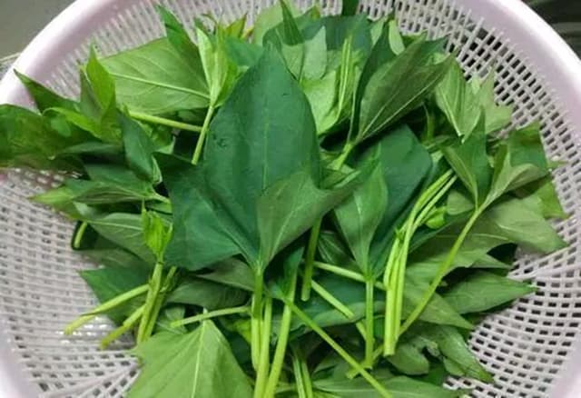 5 loại rau 'không bao giờ bị phun thuốc trừ sâu' đang vào mùa, bổ dưỡng như nhân sâm, nhất là cái số 3