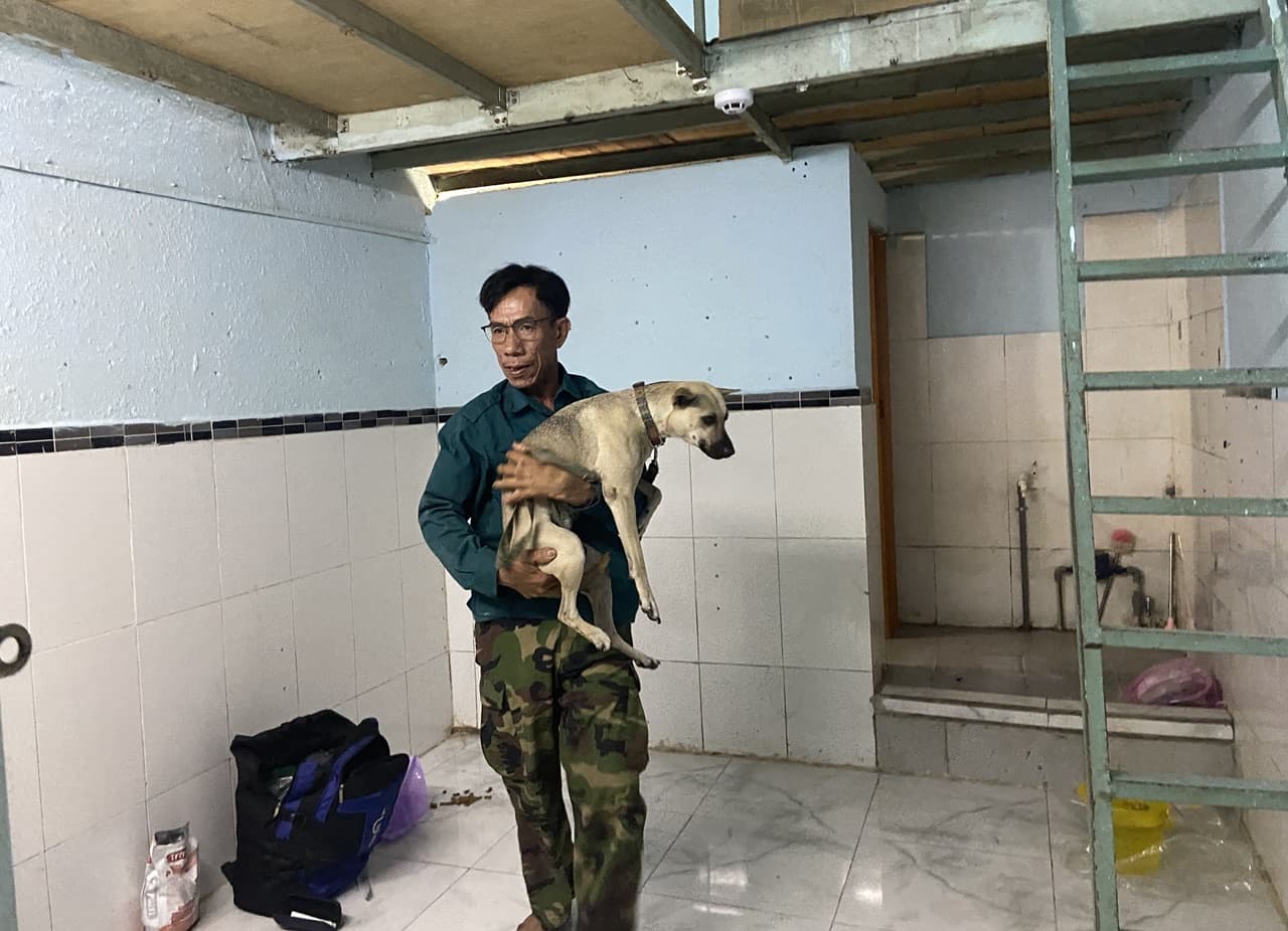 Phía sau bức ảnh người đàn ông lang thang cùng chú chó ở TP.HCM, xin việc hơn 30 công trình đều bị từ chối