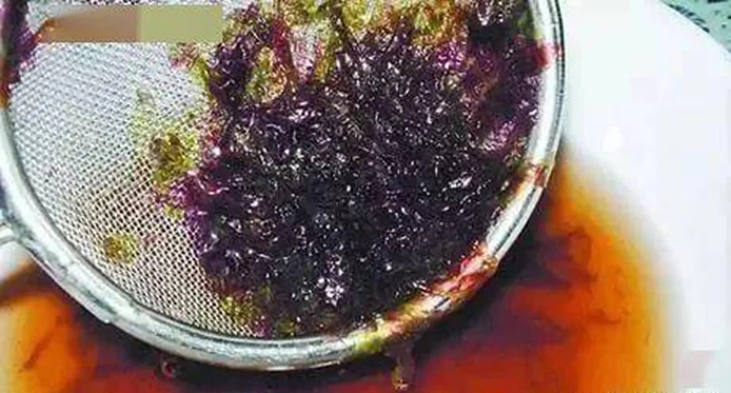 Giật mình với những loại rau "cực độc" mà 90% người không biết vẫn ăn mỗi ngày