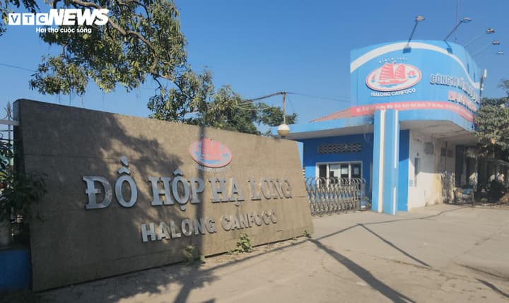 130 tấn thịt lợn bệnh được 'phù phép' làm thịt hộp: Tỉnh Quảng Ninh lên tiếng