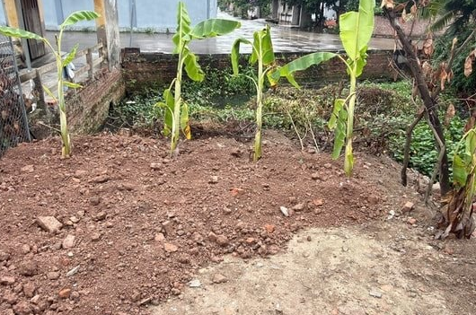 Xử phạt một cá nhân san lấp ao trái phép